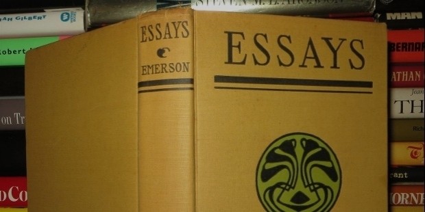 essay book