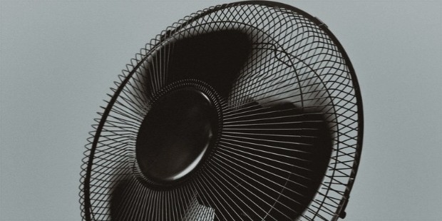 fan