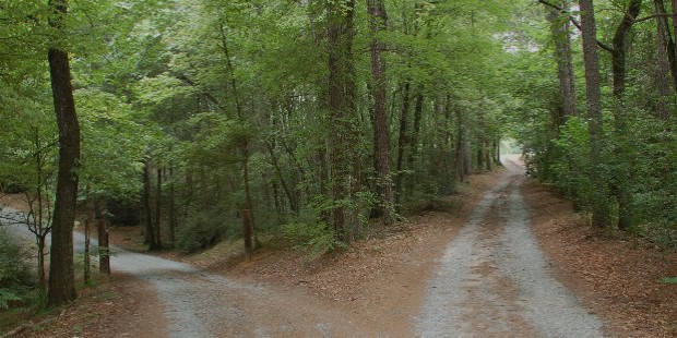 fork in the road