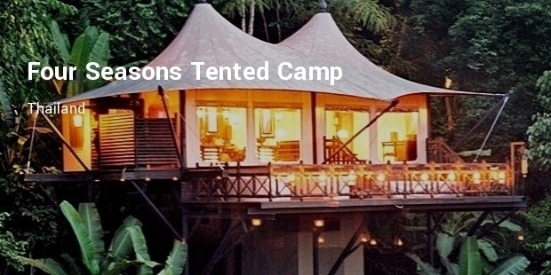 four seasons tented camp  thailand 
