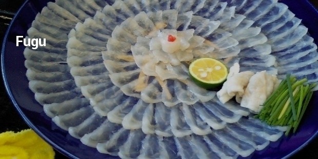 fugu