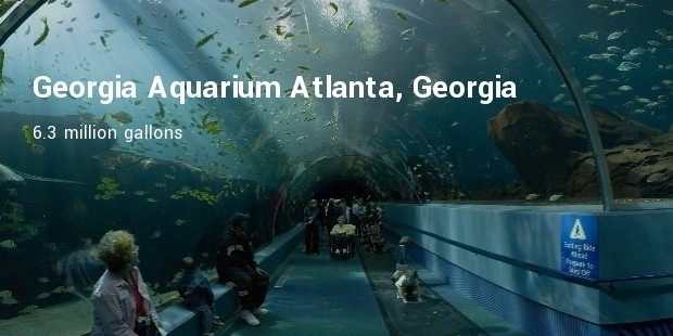 georgia aquarium  atlanta, georgia