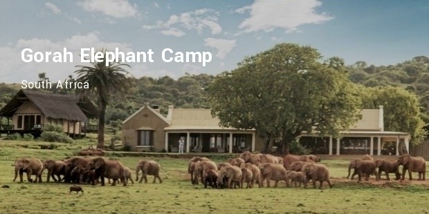 gorah elephant camp