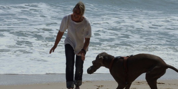 goto beach with dog