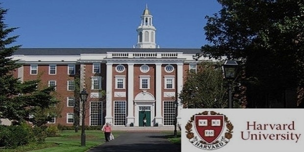 harvard university