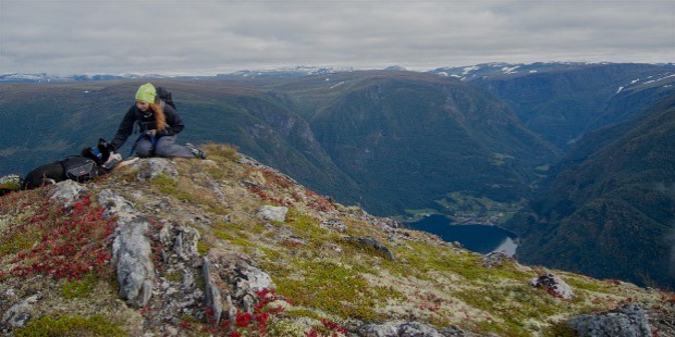 hiking with dog