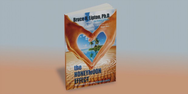 honeymoon effect book