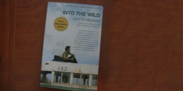 book reviews on into the wild