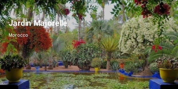 jardin majorelle, morocco