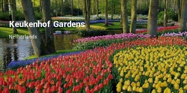 keukenhof gardens, netherlands