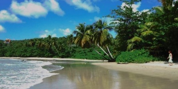 la sagesse bay, grenada