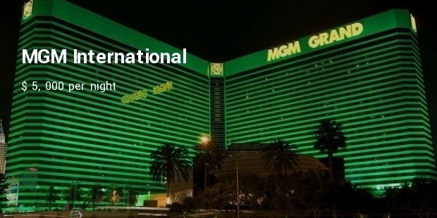 mgm international