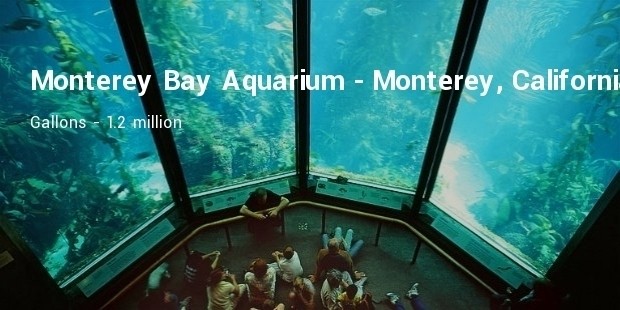 monterey bay aquarium   monterey, california