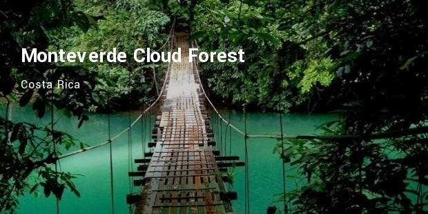 monteverdecloud forest, costa rica