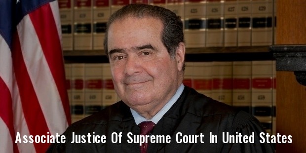 official scalia sized