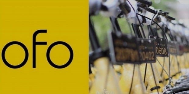 ofo 1