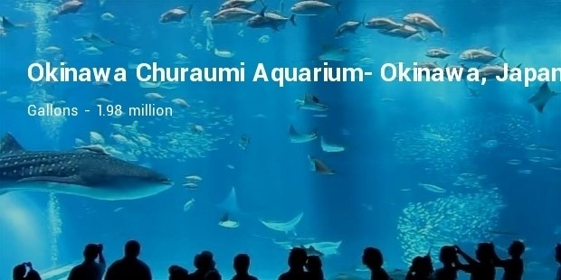 okinawa churaumi aquarium  okinawa, japan