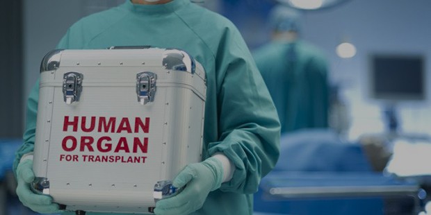 Become an Organ Donor