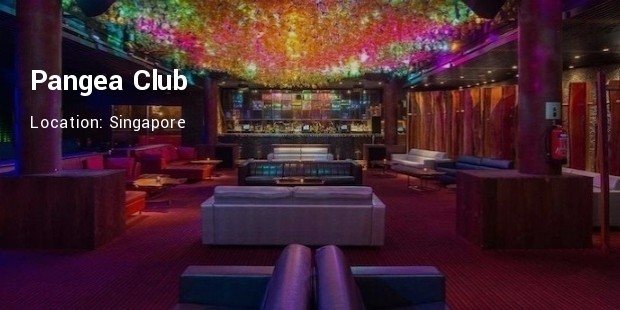 pangea club singapore