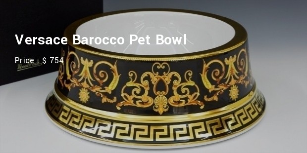 pet bowl