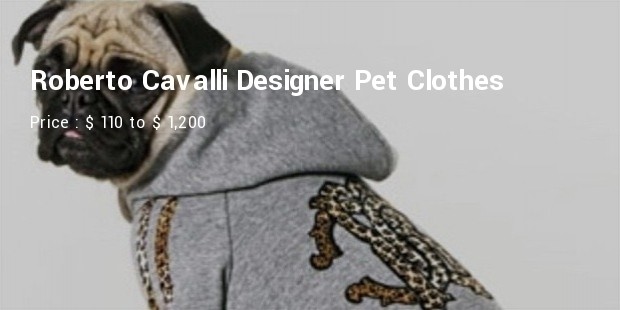 pet clothes