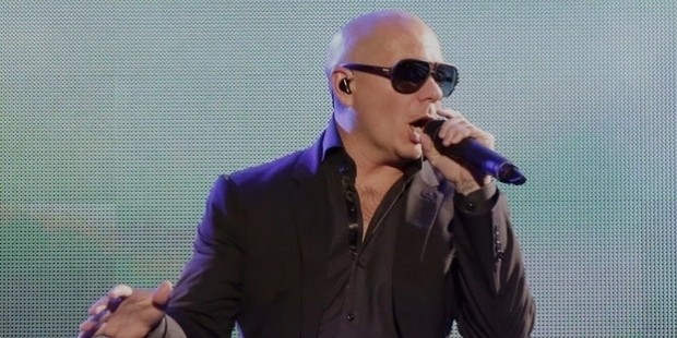 pitbull early career