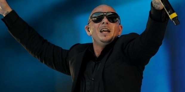 pitbull reputation