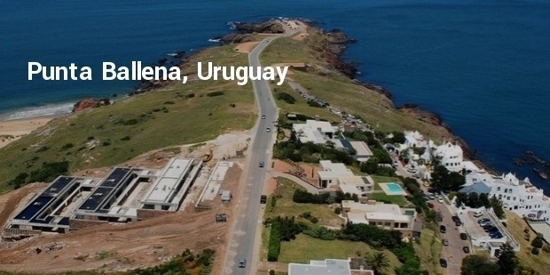 punta ballena, uruguay