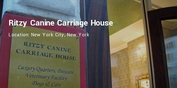 ritzy canine carriage house