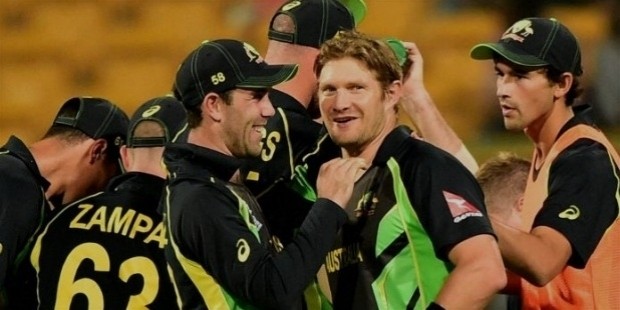 shane watson career