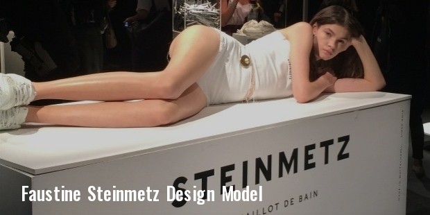 steinmetz model