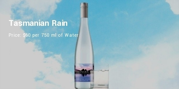 tasmanian rain water bottle