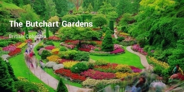 the butchart gardens, british columbia