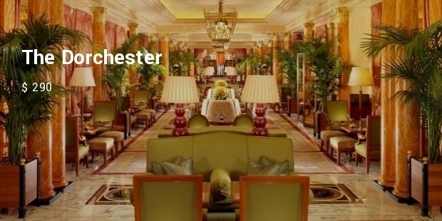 the dorchester