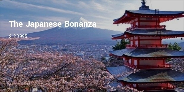 the japanese bonanza