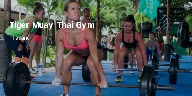 tiger muay thai gym