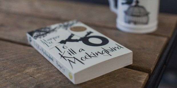 to kill a mocking bird book