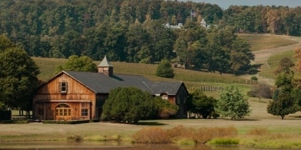 trump winery