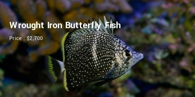 wrought iron butterfly fish