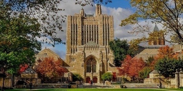 yale university