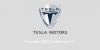 Tesla MotorsSuccessStory