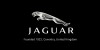 Jaguar CarsSuccessStory