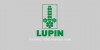 Lupin Limited Story