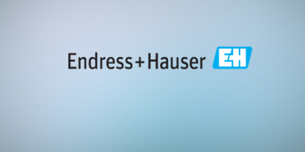 Endress-Hauser