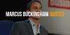Most Inspiring Quotes From Marcus Buckingham