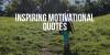Best Motivational Quotes Part 2 (11 - 20)