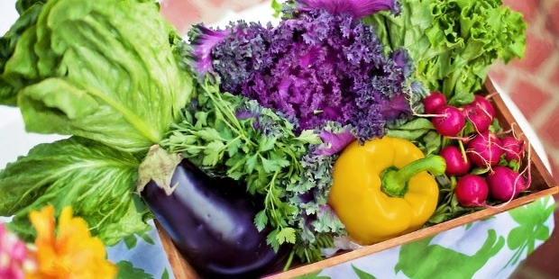 Reasons Organic Food Rules the Super Markets