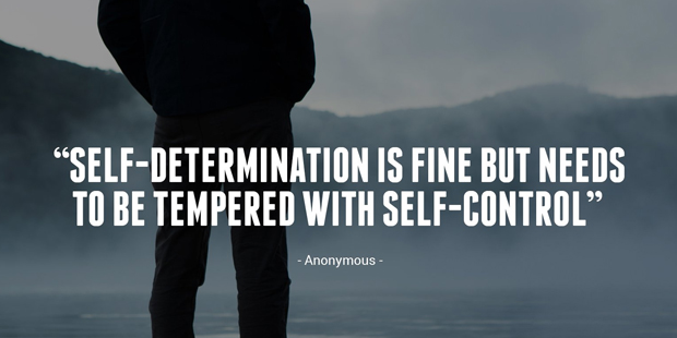 quotes about success and determination