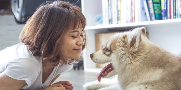 Can Your Pets Help in Fighting Your Loneliness?