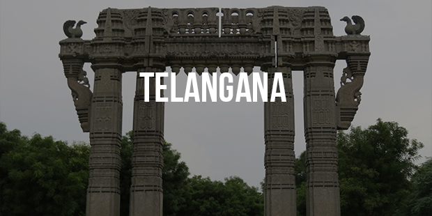 Telangana Success Story